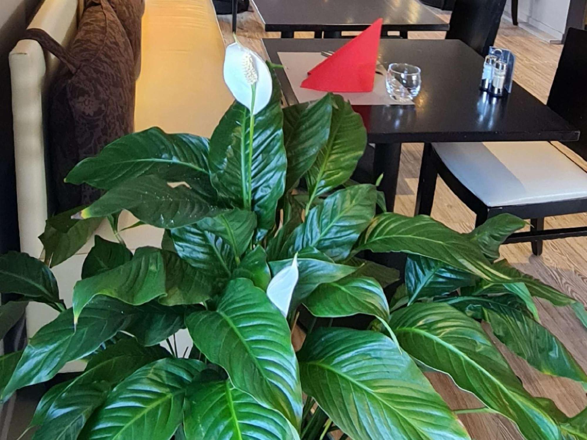 Ibis Vannes Bagian luar foto